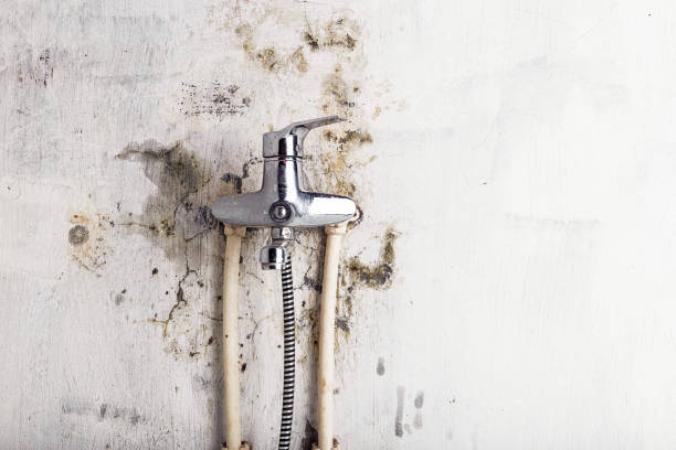 Mold Removal Process in Richland, MS