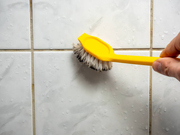 Best Emergency Mold Removal  in Richland, MS