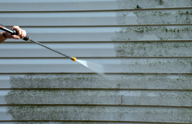 Best Residential Mold Removal  in Richland, MS