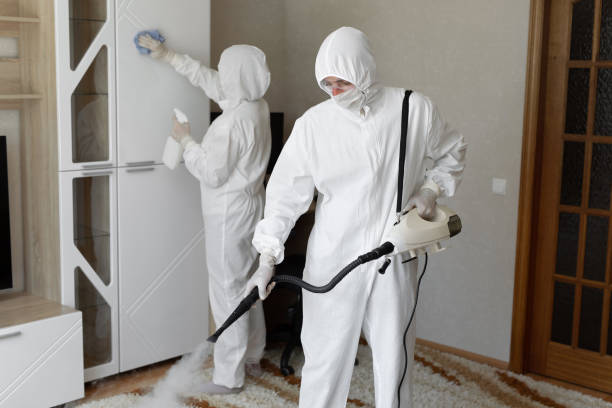 Home Mold Removal in Richland, MS