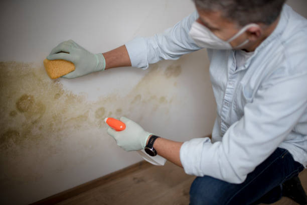 Crawl Space Mold Removal in Richland, MS