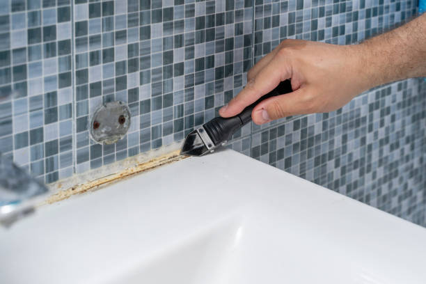 Reliable Richland, MS Mold Removal Solutions