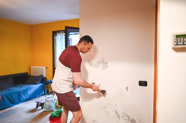 Best Office Mold Removal Services  in Richland, MS