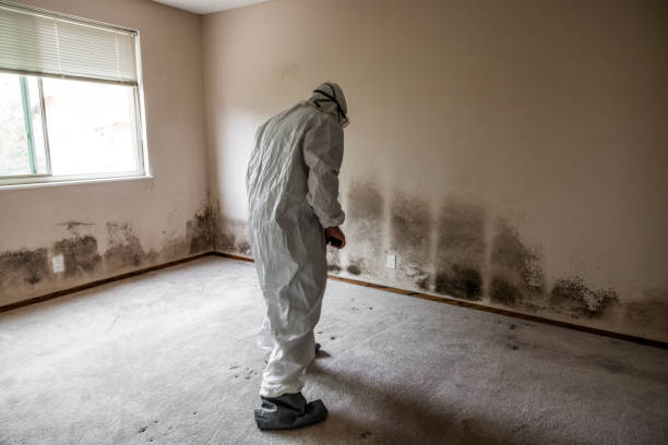 Best Crawl Space Mold Removal  in Richland, MS