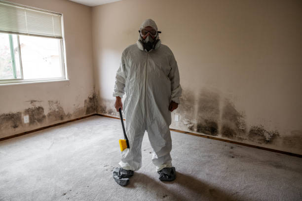 Best Mold Removal Company Near Me  in Richland, MS