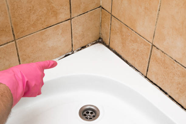 Best Mold Remediation Services  in Richland, MS